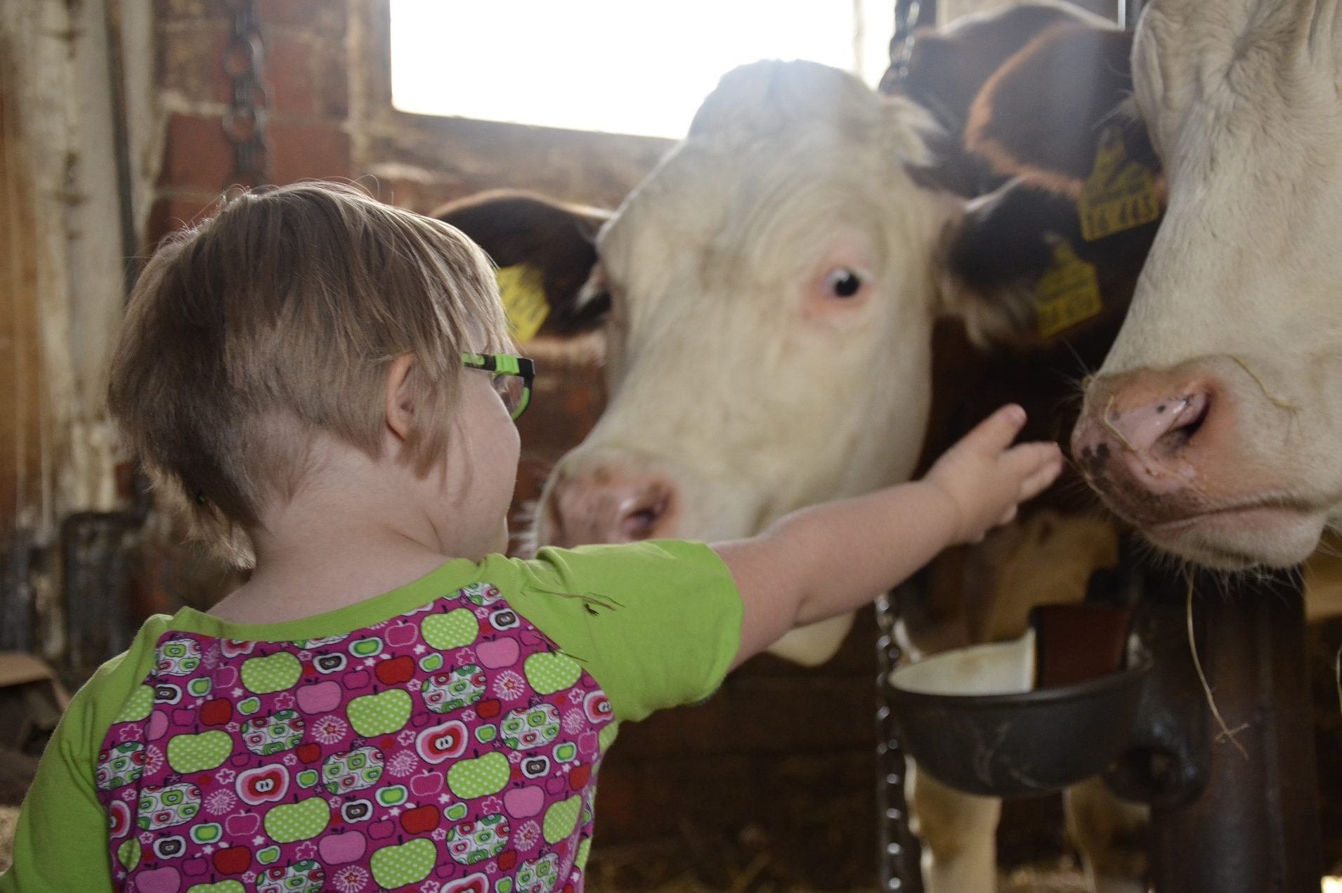 cropped-child-farm.jpg